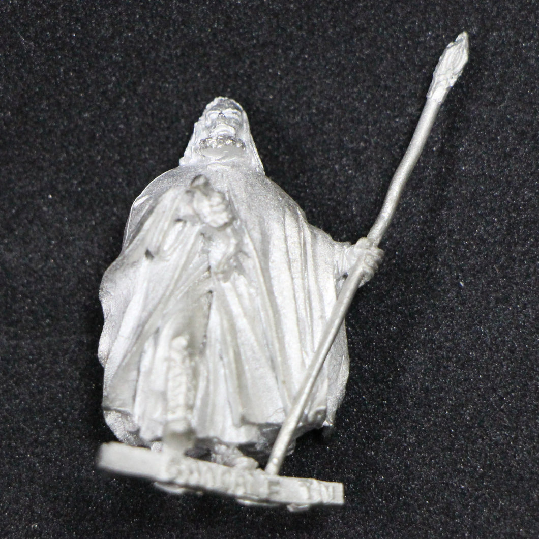 Lord Of The Rings Gandalf With Staff Miniature