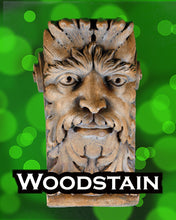 Load image into Gallery viewer, Lion&#39;s Head Corbel